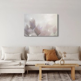 Obraz - Krókusy (90x60 cm)