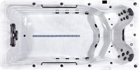 Swim spa Platinum Spas Eros