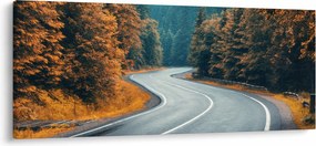 Obraz - Kľukatá cesta (120x50 cm)