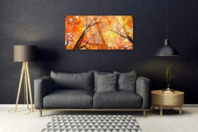 Obraz na skle Stromy príroda 100x50 cm