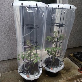 PROSPERPLAST Kvetináč na pestovanie paradajok TOMATO GROWER antracit 39,2cm (max. výška: 153cm) Veľkosť: L