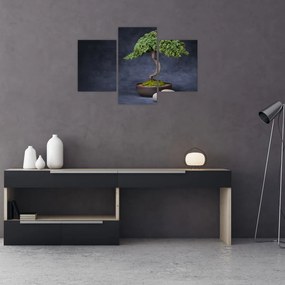 Obraz - Bonsai (90x60 cm)