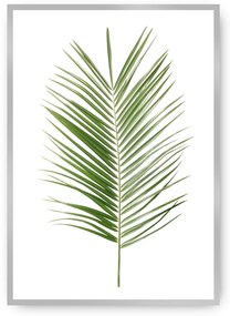 Plagát Palm Leaf Green