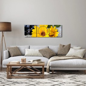 Obraz žltej kvetiny (s hodinami) (90x30 cm)