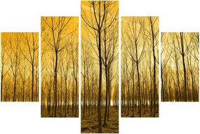 Obraz - Plantáž stromov (150x105 cm)