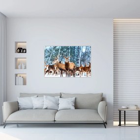 Obraz - Stádo jeleňov (90x60 cm)