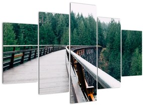 Obraz - Most k vrcholkom stromov (150x105 cm)