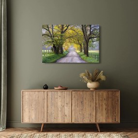 Obraz - Smoky Mountains, Gatlinburg, USA (90x60 cm)