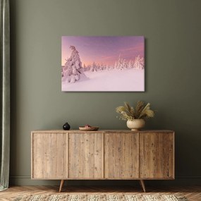 Obraz - Stromy pod snehovou prikrývkou (90x60 cm)