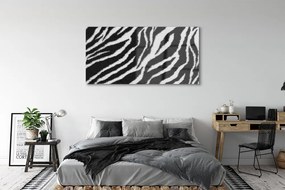 Obraz na akrylátovom skle Zebra fur 140x70 cm