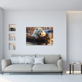 Obraz - Medveď ľadový (90x60 cm)