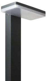 RED - Design Rendl - R12515 - LED Vonkajšia lampa RINA LED/12W/230V IP44