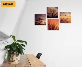 Set obrazov očarujúca príroda - 4x 60x60