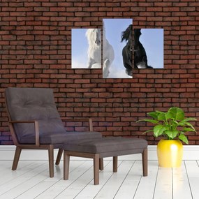 Obraz - Kone v zime (90x60 cm)