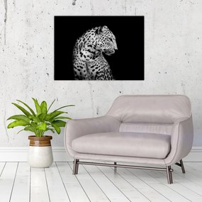 Sklenený obraz - Leopard (70x50 cm)