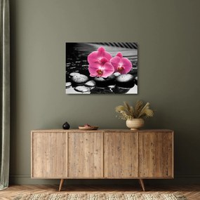 Sklenený obraz - Ružové orchidey (70x50 cm)