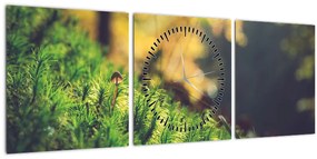 Obraz machu s hubou (s hodinami) (90x30 cm)