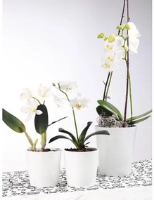 Obal na orchidey keramický Merina Ø 14 cm biely