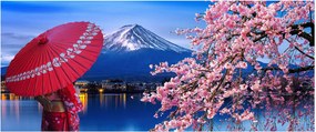 Obraz - Výhľad na vrchol, Japonsko (120x50 cm)