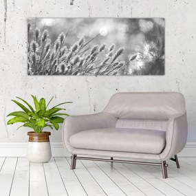 Obraz - Béžová soft grass N⁰1 (120x50 cm)