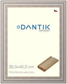 DANTIK rám na obraz 30x40 | TOULON bílá velká (Plexi Čiré)