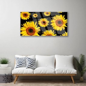 Skleneny obraz Slnečnica rastlina príroda 100x50 cm