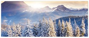 Obraz - Horská krajina v zime (120x50 cm)