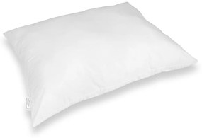 Klinman Klasický vankúš s výťažkom ALOE VERA Veľkosť: 70 x 90 cm