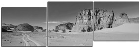 Obraz na plátne - Cesta v púšti - panoráma 5129QE (120x40 cm)