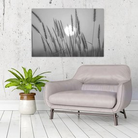 Obraz - Lúka pri západe slnka (90x60 cm)