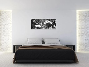 Obraz - Pavučina na lúke (120x50 cm)