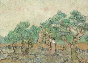 Obraz - Vincent van Gogh, The Olive Orchard, reprodukcia (70x50 cm)