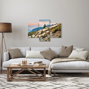 Obraz - Stádo oviec (90x60 cm)