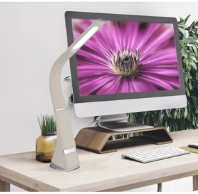 Globo 58337B - LED stmievateľná dotyková nabíjateľná stolná lampa SOPHIE LED/5W/5V 2200 mAh