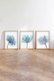 Huhu206 - 50 x 70