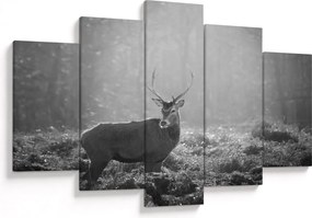 Obraz - Jeleň v lese, čiernobiela (150x105 cm)