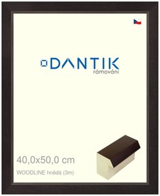 DANTIK rám na obraz 40x50 | WOODLINE hnědá (Plexi Čiré)