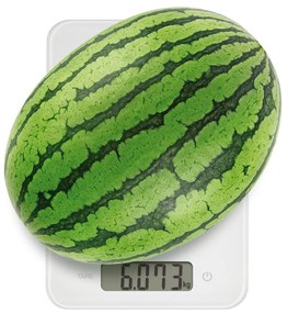 TESCOMA digitálna kuchynská váha ACCURA15.0 kg, L