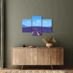 Obraz - Levanduľové pole (90x60 cm)