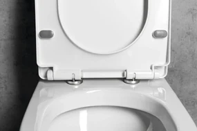 Aqualine Aqualine, VERMET WC sedátko, Soft Close, biela, VRS008