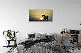 Obraz na akrylátovom skle Pole sunset jednorožec 100x50 cm