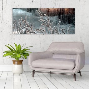Obraz - Zamrznutá lúka (120x50 cm)
