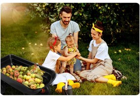 Záhradný vozík sklápač 75L Humberg 4872