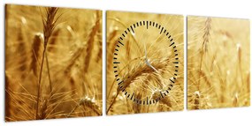 Obraz - Klasy obilia (s hodinami) (90x30 cm)