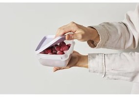SmartStore Sada plastových dóz Freezer 2 ks, levanduľa, 1200 ml, 1200 ml
