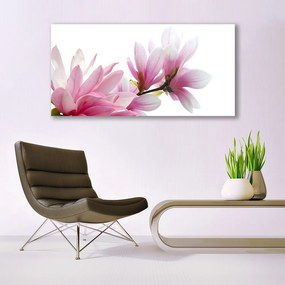 Obraz na akrylátovom skle Magnolie kvet 120x60 cm