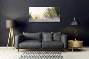 Skleneny obraz Piesok tráva krajina 125x50 cm