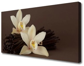 Obraz Canvas Kvety vanilky do kuchyne 100x50 cm