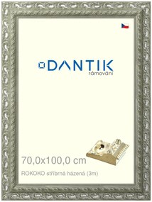 DANTIK rám na obraz 70x100 | ROKOKO stříbrná házená (Plexi Čiré)