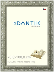 DANTIK rám na obraz 70x100 | ROKOKO stříbrná házená (Plexi Čiré)